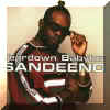 Sandeeno "Teardown Babylon CD"